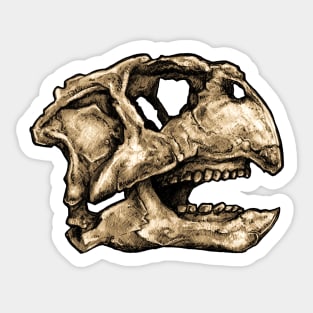 Dinosaur Skull Psittacosaurus Sticker Sticker